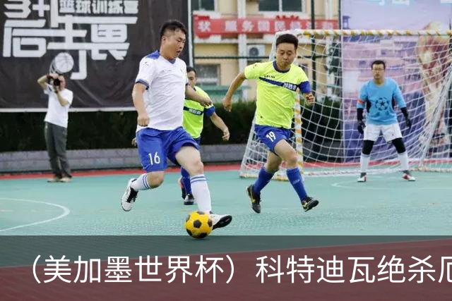 （美加墨世界杯）科特迪瓦绝杀厄瓜多尔 瑞典5:1大胜突尼斯